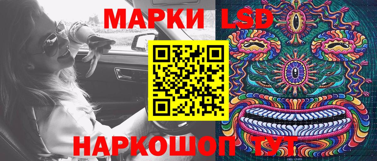 Губкин  Марки N-bome 1,5мг  Марки N-bome 1,5мг  Вход с VPN 