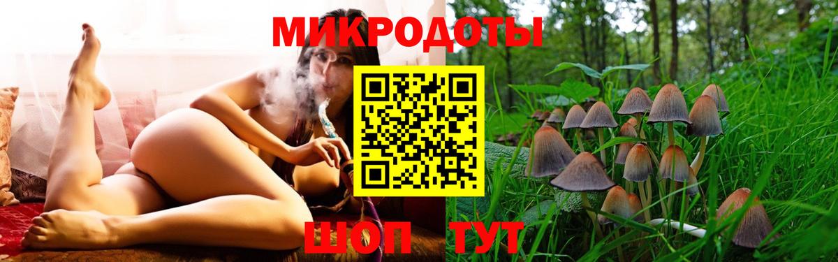 Губкин  Псилоцибиновые грибы Magic Shrooms  Галлюциногенные грибы Cubensis  Вход с VPN 